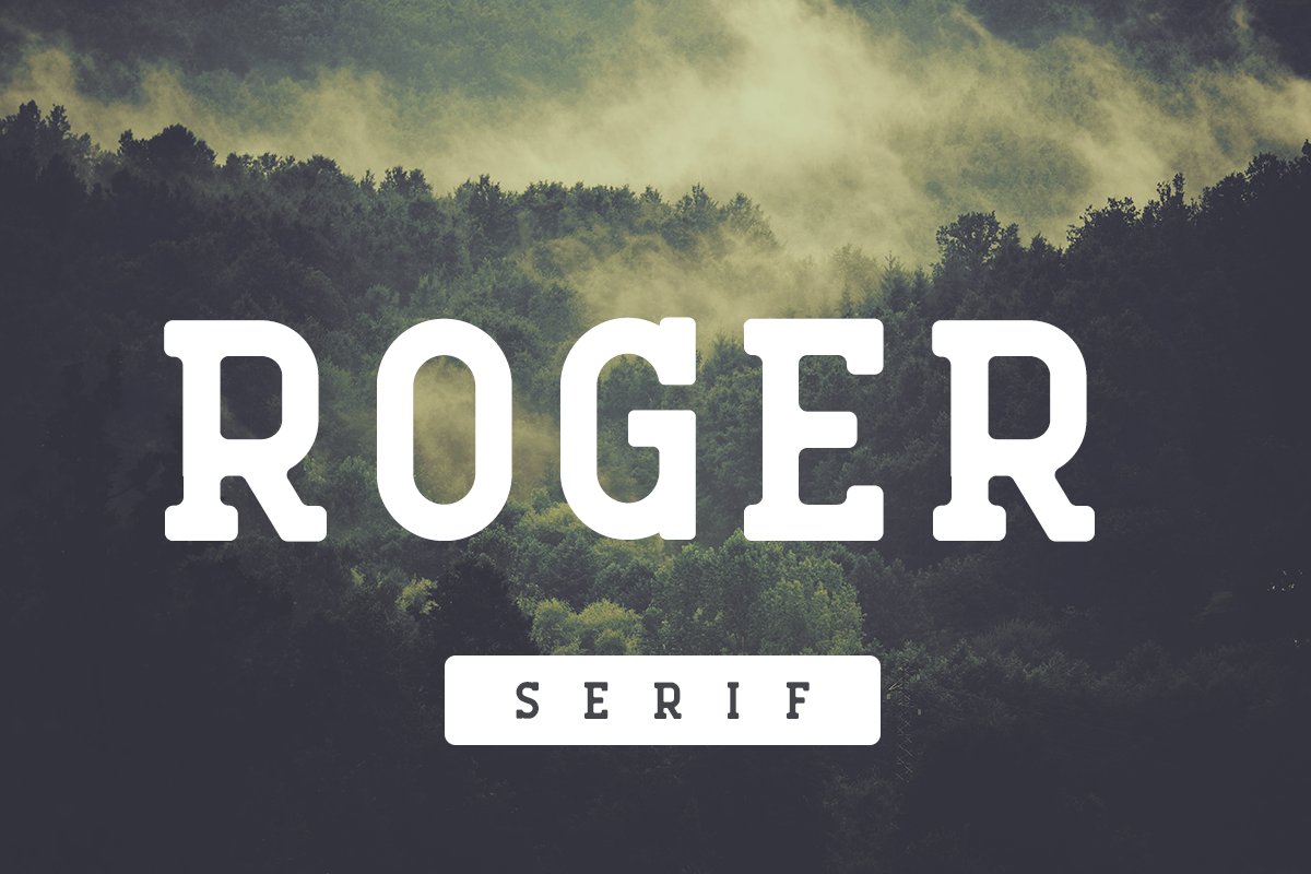 Roger Serif Light Font preview